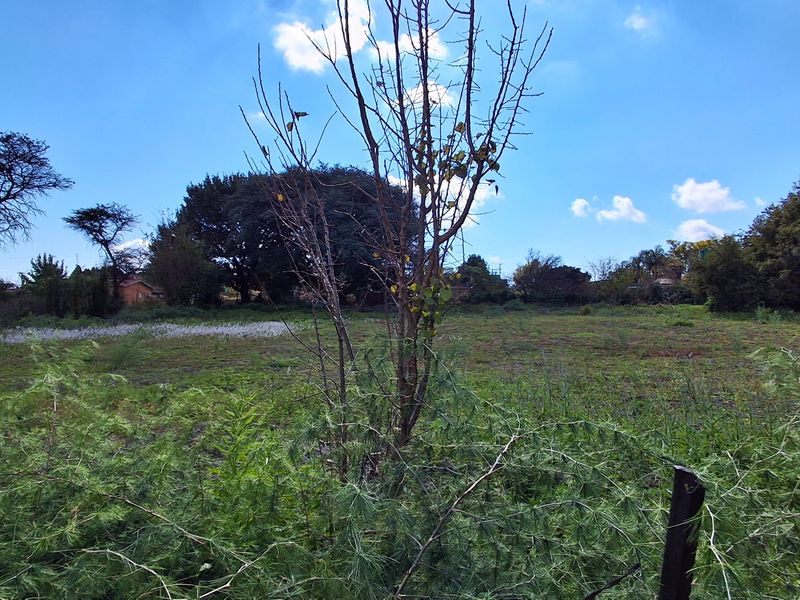 A view of a vacant residential plot featuring natural vegetation and mature trees, offering a blank canvas for future development.