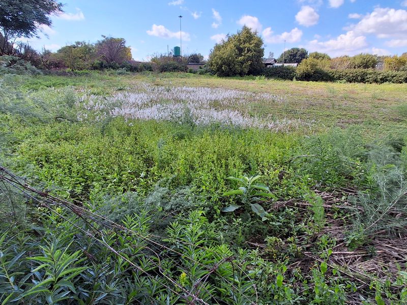 A view of a vacant residential plot featuring overgrown vegetation, mature trees, and perimeter wire fencing.