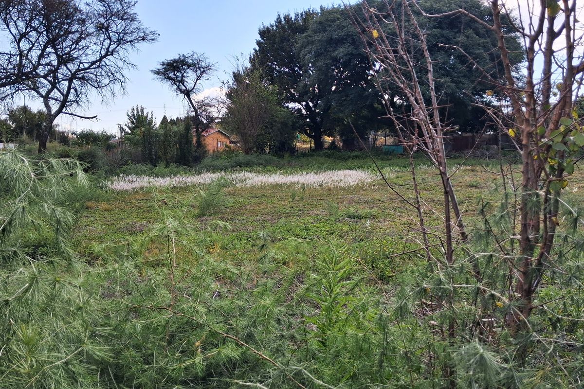 A view of a vacant residential plot featuring natural vegetation and mature trees, offering a blank canvas for future development.