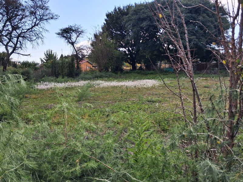 A view of a vacant residential plot featuring natural vegetation and mature trees, offering a blank canvas for future development.