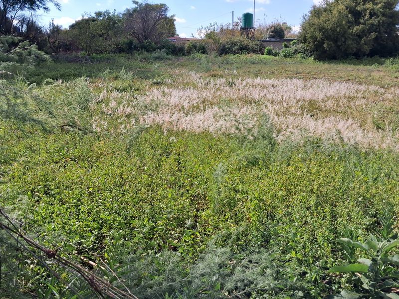 A view of a vacant residential plot featuring overgrown vegetation, perimeter fencing, and an existing water tank on the property.