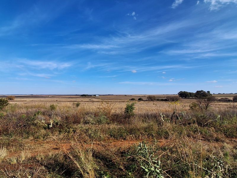 A wide-angle view of the expansive, undeveloped residential land featuring natural vegetation and open horizon.