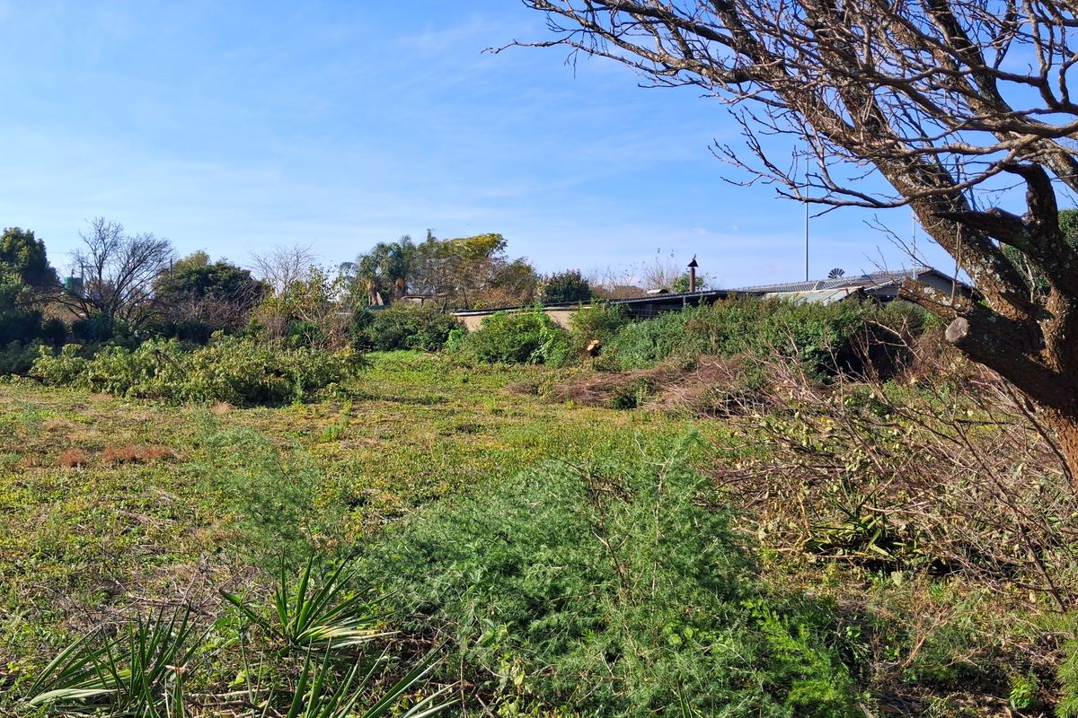 A view of a vacant residential plot featuring cleared vegetation and mature trees, offering a blank canvas for future development.