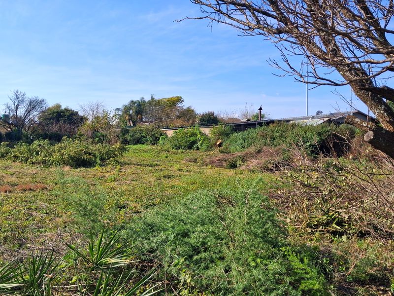 A view of a vacant residential plot featuring cleared vegetation and mature trees, offering a blank canvas for future development.