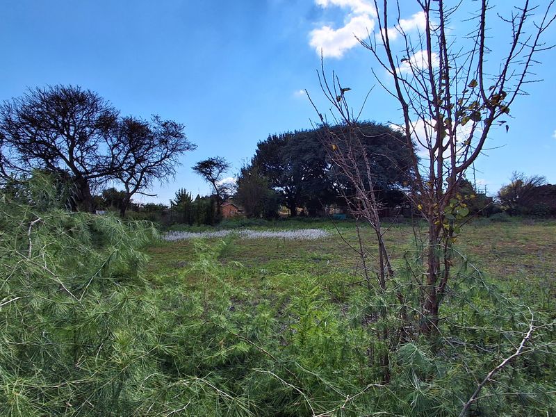 A view of a vacant residential plot featuring mature trees and open land, offering potential for future development.
