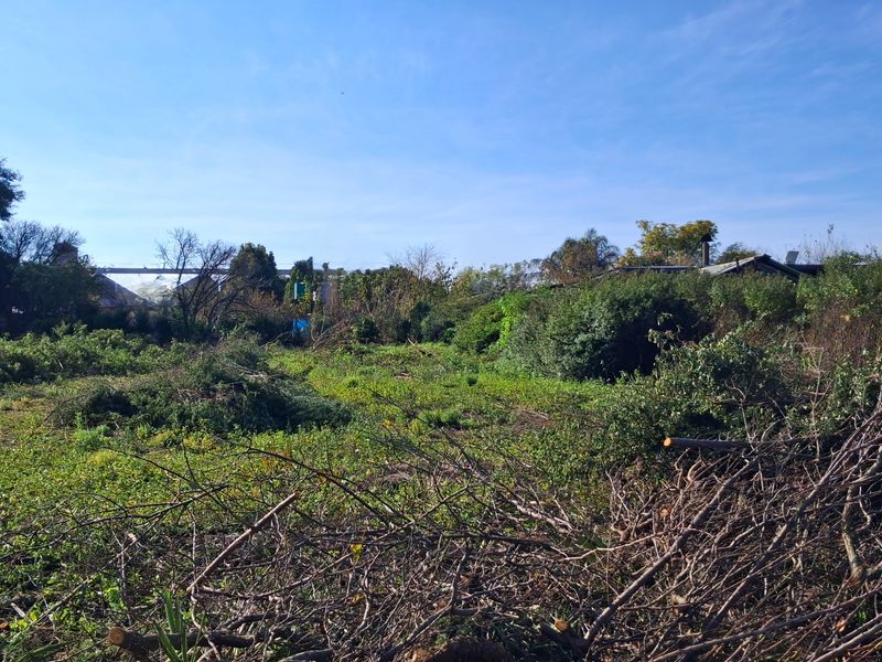 A view of a vacant residential plot featuring cleared vegetation and mature trees, offering a blank canvas for future development.