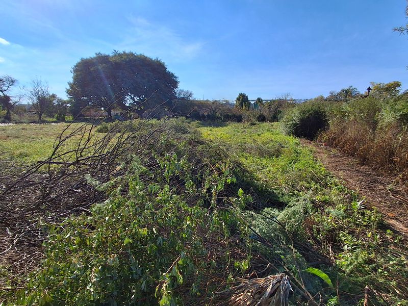 A view of a vacant residential plot featuring mature trees and areas of cleared vegetation, offering a blank canvas for future development.