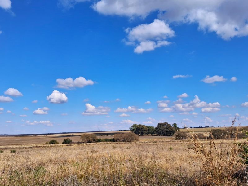A wide-angle view of open, undeveloped residential land featuring natural grass fields and distant trees under a clear blue sky.