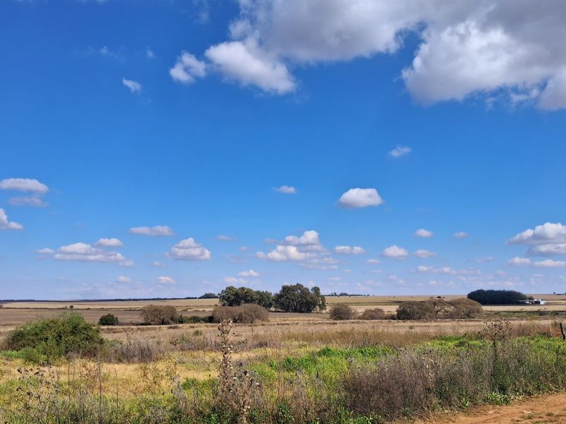 A wide-angle view of expansive, undeveloped residential land featuring natural vegetation and open fields under a clear blue sky.