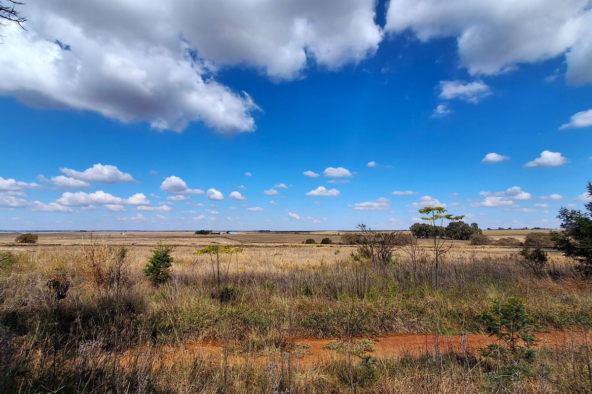 A wide-angle view of the expansive, undeveloped residential land featuring natural grassland and a clear horizon under a bright blue sky.