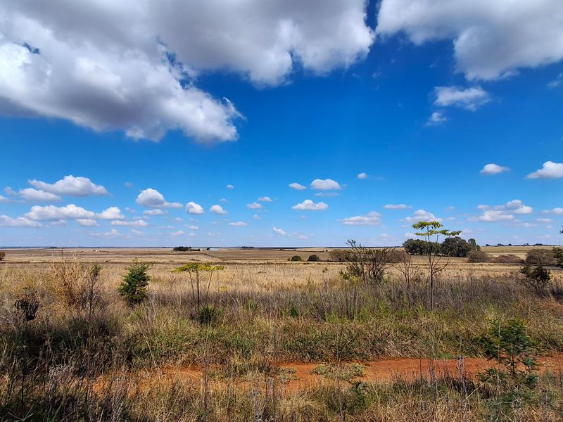 A wide-angle view of the expansive, undeveloped residential land featuring natural grassland and a clear horizon under a bright blue sky.