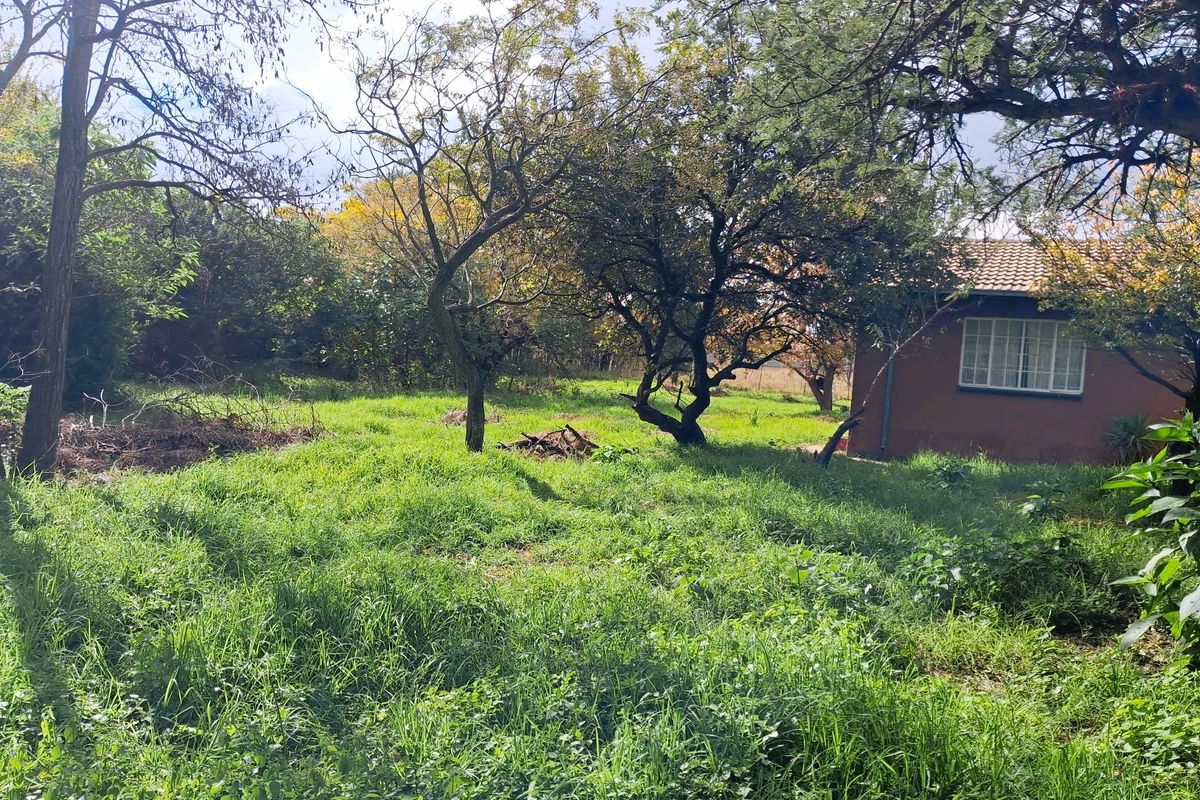 Prime Republic Road Position – 1 Hectare with Business Rights | Unlimited Potential - Photo 2