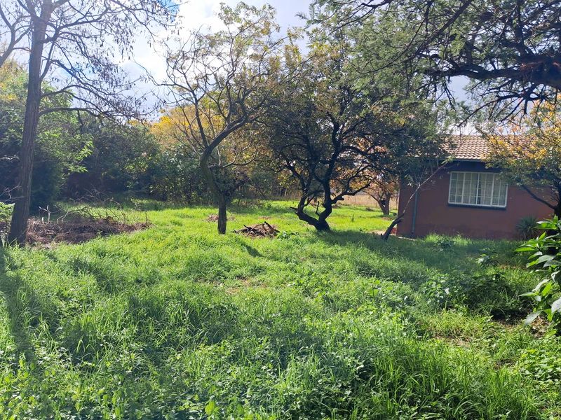 Prime Republic Road Position – 1 Hectare with Business Rights | Unlimited Potential - Photo 2