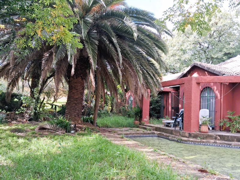 Exterior view of a house featuring a covered patio and a swimming pool in a large, overgrown garden setting.