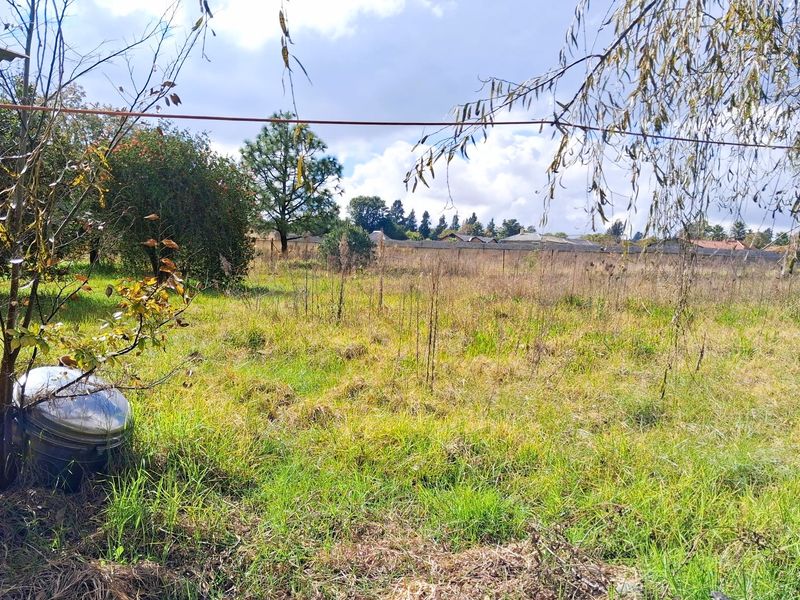 Prime Republic Road Position – 1 Hectare with Business Rights | Unlimited Potential - Photo 7