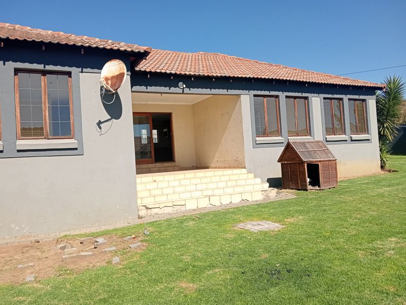 Rear view of the house featuring a tiled roof, concrete patio with damaged steps, and multiple casement windows overlooking a grass lawn.