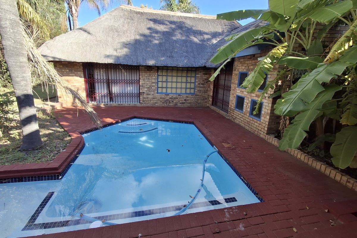 Exceptional 3 bedroom home with Pool and huge Lapa - Photo 4