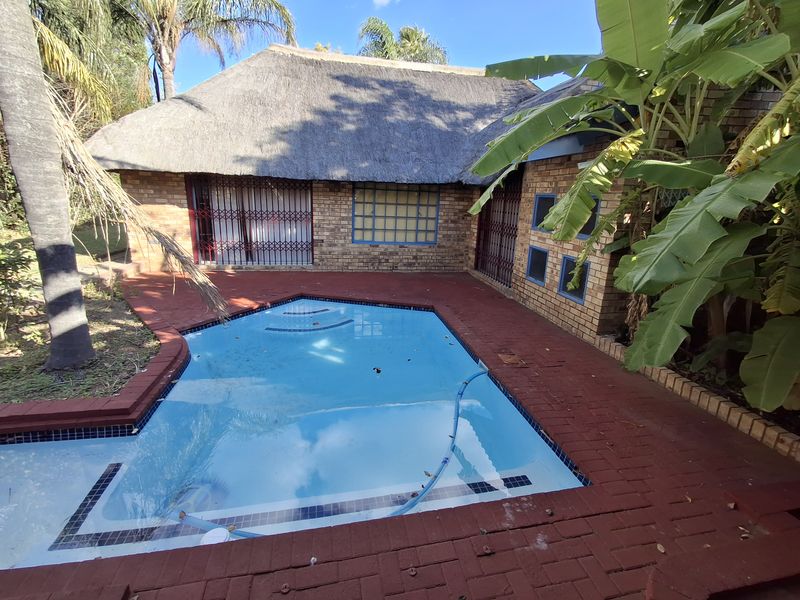 Exceptional 3 bedroom home with Pool and huge Lapa - Photo 4