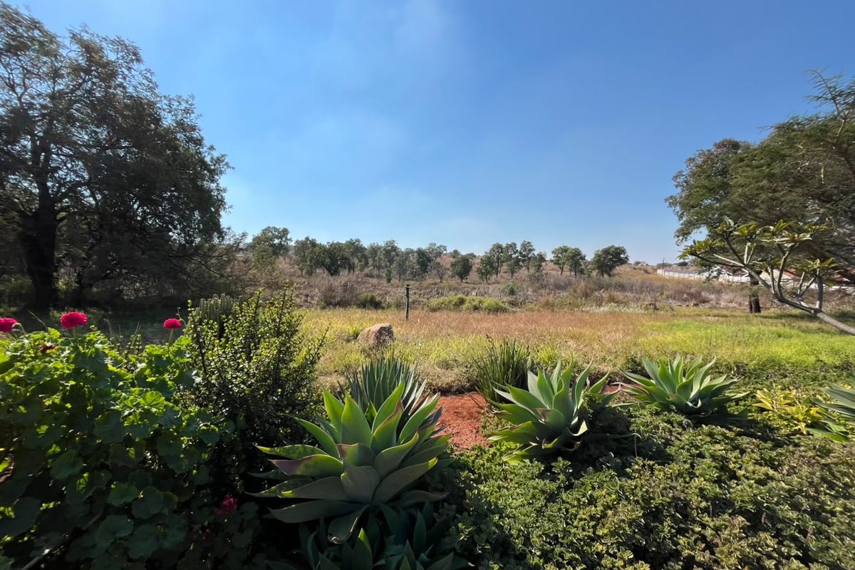 A well-maintained garden area featuring mature trees and established succulent plantings, overlooking an open, natural landscape.