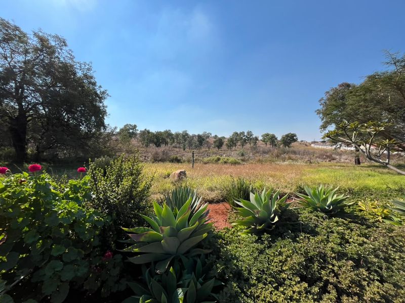 A well-maintained garden area featuring mature trees and established succulent plantings, overlooking an open, natural landscape.