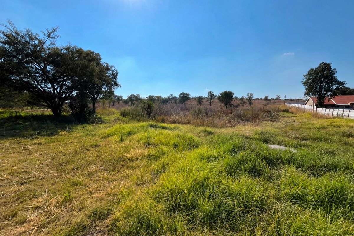 A view of a vacant residential plot featuring natural grassland, mature trees, and a perimeter boundary wall.