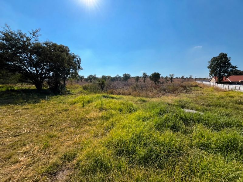 A view of a vacant residential plot featuring natural grassland, mature trees, and a perimeter boundary wall.