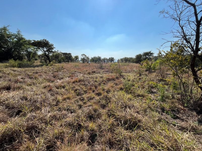 A view of the vacant residential land featuring natural grass cover and scattered mature trees under a clear blue sky.