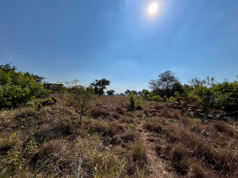 A view of the vacant residential land featuring natural vegetation and rocky terrain under a clear blue sky.