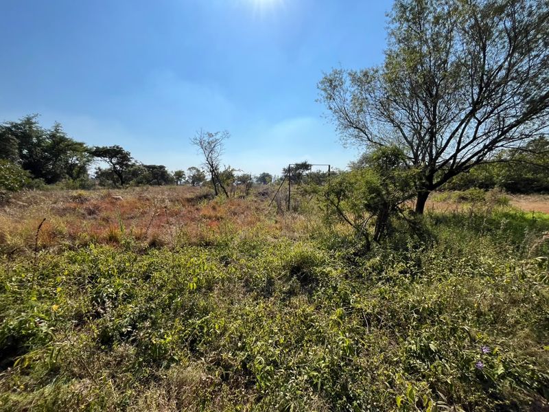 A view of the vacant residential land featuring natural vegetation and mature trees, offering a blank canvas for future development.