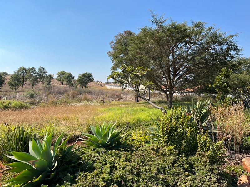 A well-maintained garden area featuring mature trees and established succulent plantings, overlooking an open natural landscape.