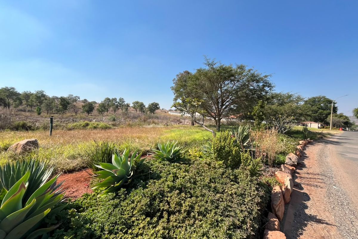 A view of the street frontage featuring a landscaped verge with native plants and a natural rock border adjacent to the vacant residential land.