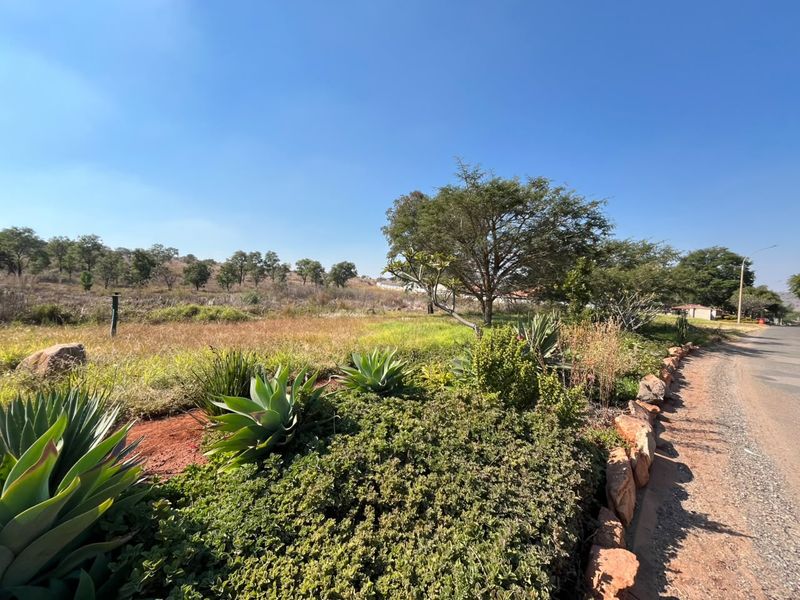 A view of the street frontage featuring a landscaped verge with native plants and a natural rock border adjacent to the vacant residential land.