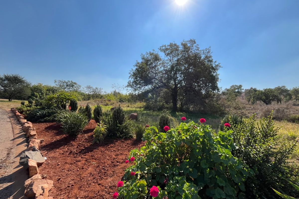 A well-maintained garden area featuring established trees, shrubs, and decorative stone edging on a residential property.