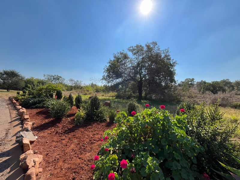 A well-maintained garden area featuring established trees, shrubs, and decorative stone edging on a residential property.
