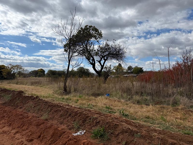 Great Investment Opportunity - Photo 5