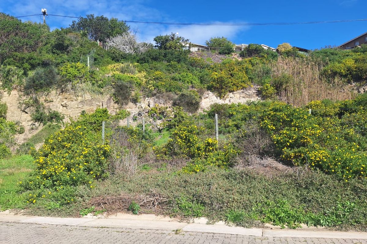 Stilbaai West river front living - Photo 3