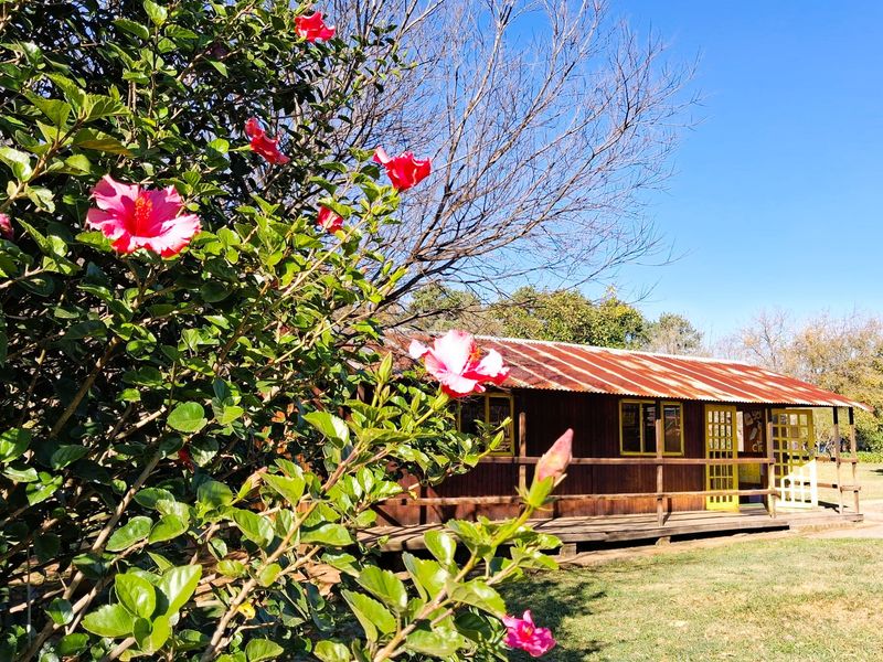 Versatile Property with Warehouse and Extensive Business Potential in Glen Austin - Photo 2