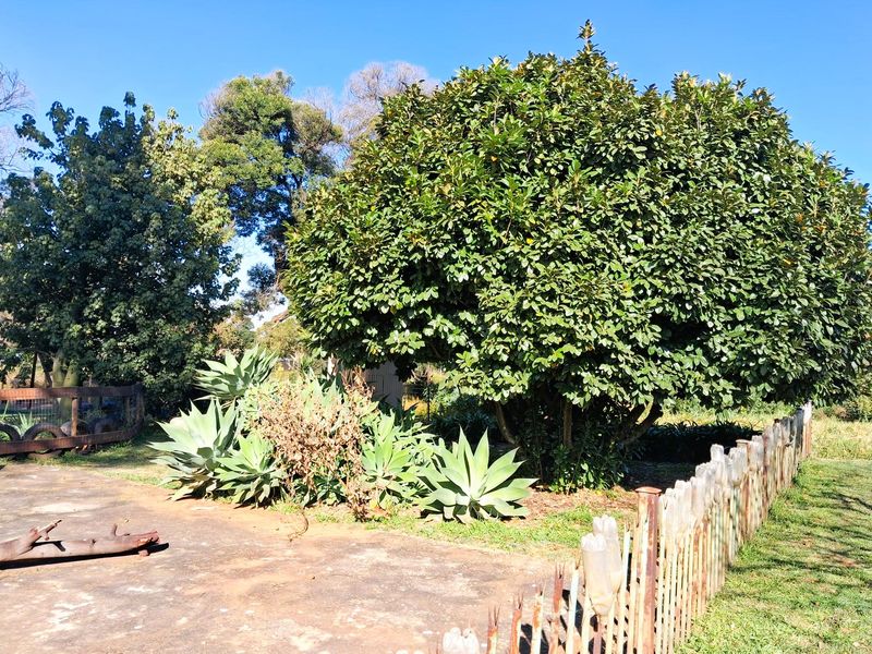 Versatile Property with Warehouse and Extensive Business Potential in Glen Austin - Photo 7