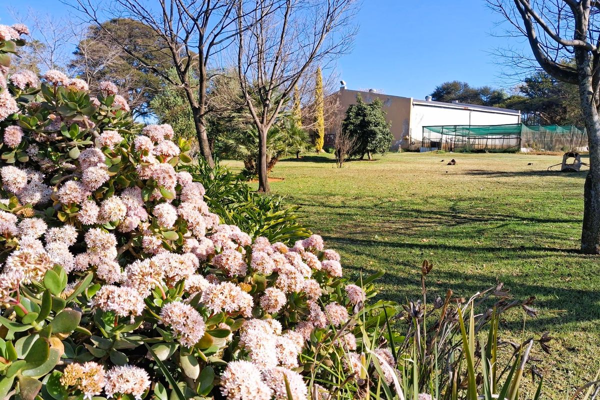 Versatile Property with Warehouse and Extensive Business Potential in Glen Austin - Photo 4
