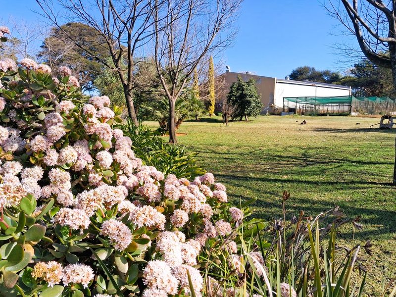 Versatile Property with Warehouse and Extensive Business Potential in Glen Austin - Photo 4