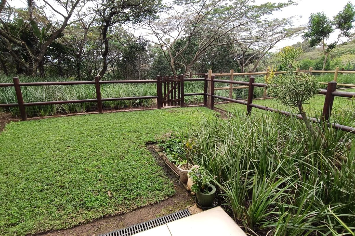 Modern pet friendly apartment in the heart of Ballito - Photo 5