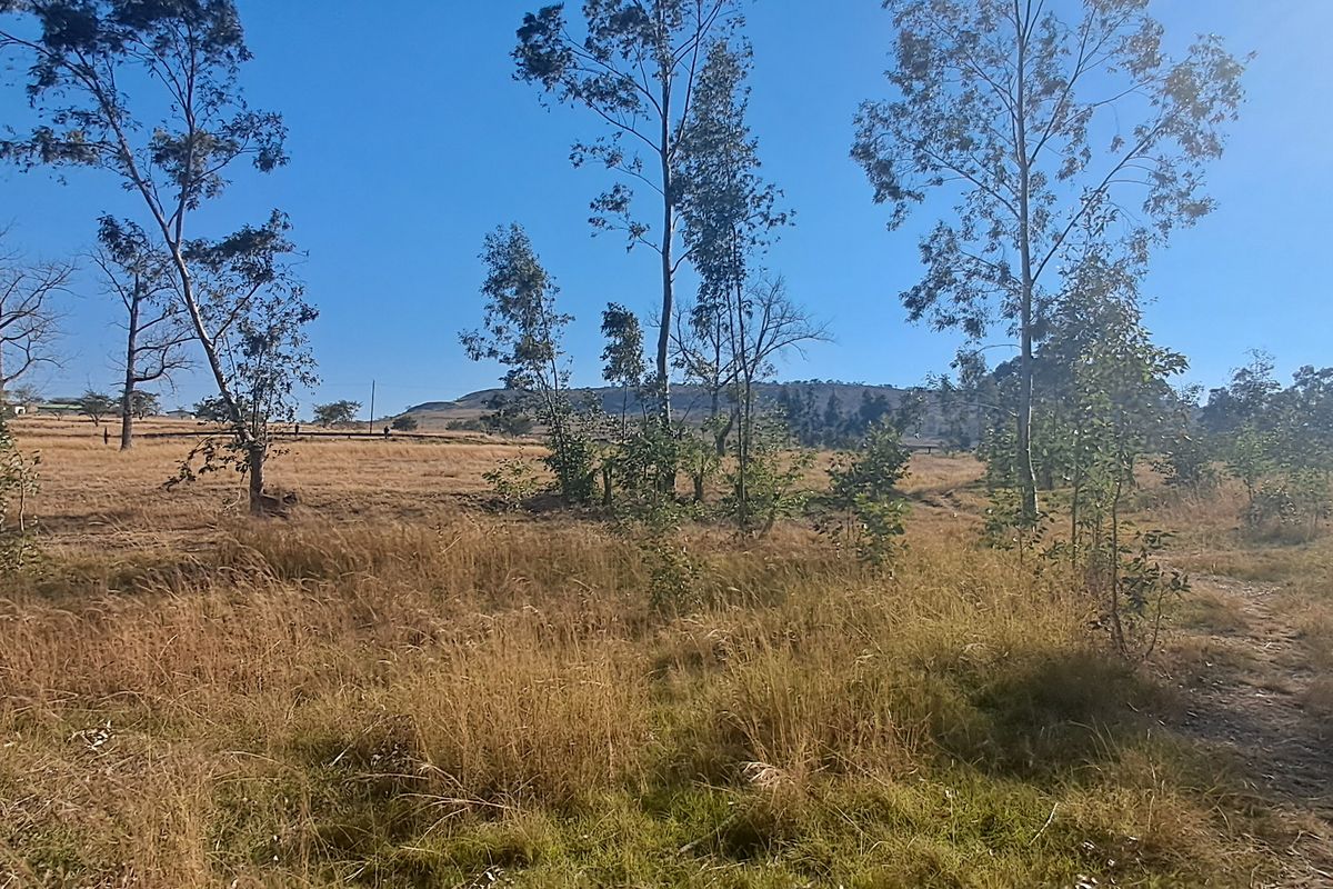 Quiet area-  build your dream home - Photo 4
