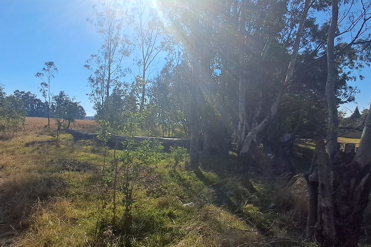 Quiet area-  build your dream home - Photo 2