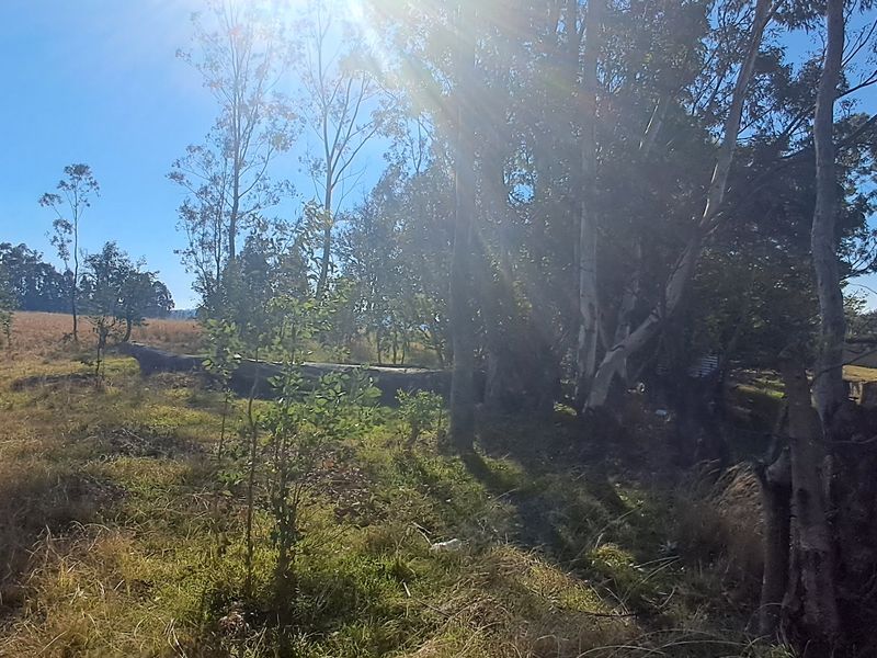 Quiet area-  build your dream home - Photo 2