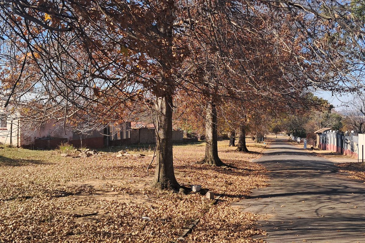 Now you can be the owner of a lovely piece of land - Photo 4