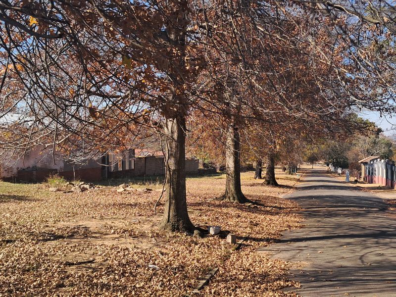 Now you can be the owner of a lovely piece of land - Photo 4