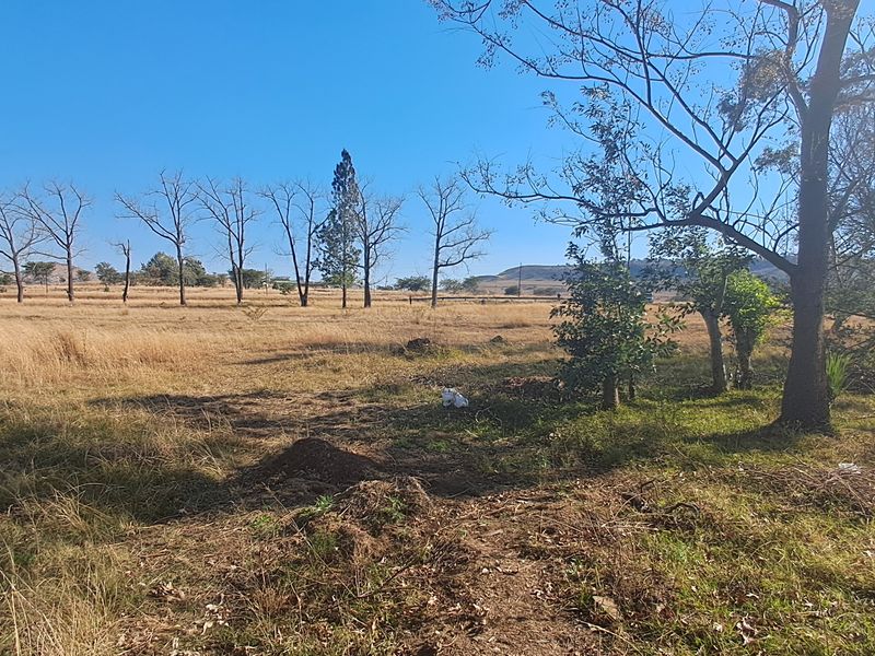 Now you can be the owner of a lovely piece of land - Photo 1