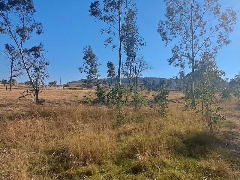 Now you can be the owner of a lovely piece of land - Photo 2