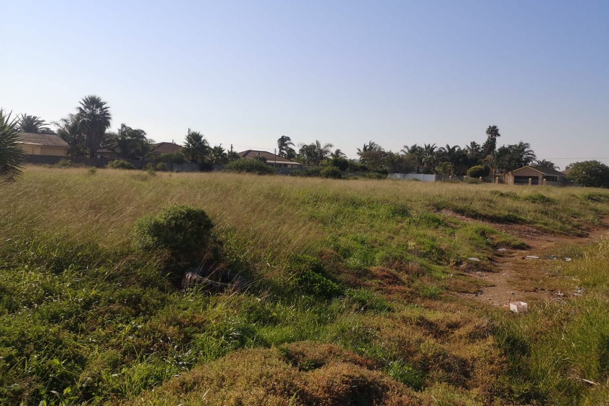 A Rare Opportunity in a Thriving Community - Photo 5