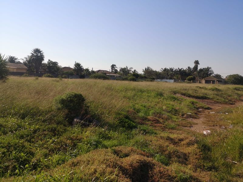 A Rare Opportunity in a Thriving Community - Photo 5